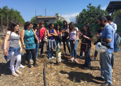 Tecniche di comunicazione per il settore agrumicolo – Corso previsto dal progetto Social Farmin 2.0 a Catania